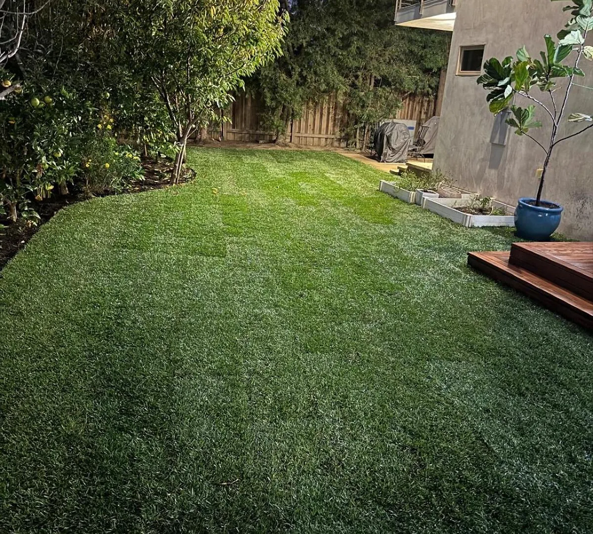 Del Rey/Culver City Dream Oasis Los Angeles Homestay